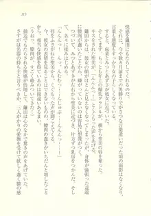 アイドル強制操作 ～スマホで命令したことが現実に～, 日本語