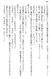 俺のメイドハーレムはいつだってご奉仕争奪戦です!, 日本語