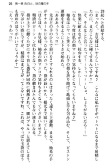 俺のメイドハーレムはいつだってご奉仕争奪戦です!, 日本語