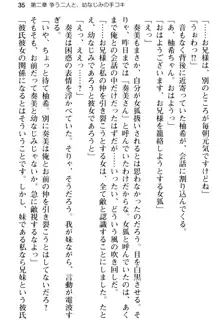 俺のメイドハーレムはいつだってご奉仕争奪戦です!, 日本語