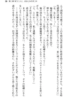 俺のメイドハーレムはいつだってご奉仕争奪戦です!, 日本語