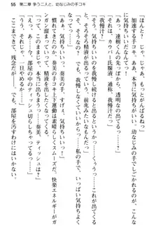 俺のメイドハーレムはいつだってご奉仕争奪戦です!, 日本語