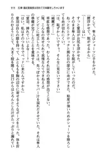 風紀委員長はエッチな声のお仕事をしています, 日本語