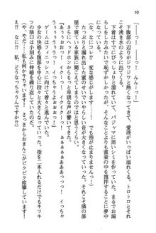 風紀委員長はエッチな声のお仕事をしています, 日本語