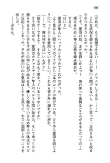 風紀委員長はエッチな声のお仕事をしています, 日本語