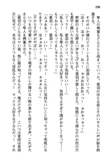 風紀委員長はエッチな声のお仕事をしています, 日本語