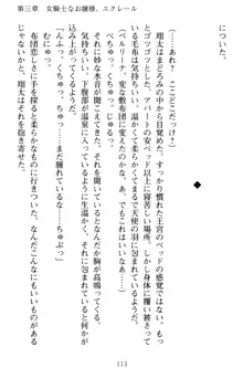 孕ませて王子様! 異世界で王子になった俺は巨乳なお嬢様たちと子作りハーレムライフ!, 日本語