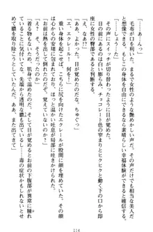 孕ませて王子様! 異世界で王子になった俺は巨乳なお嬢様たちと子作りハーレムライフ!, 日本語