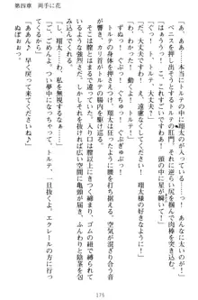 孕ませて王子様! 異世界で王子になった俺は巨乳なお嬢様たちと子作りハーレムライフ!, 日本語