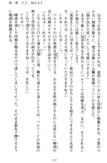 孕ませて王子様! 異世界で王子になった俺は巨乳なお嬢様たちと子作りハーレムライフ!, 日本語