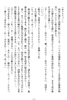 僕の彼女は処女ビッチ生徒会長!?, 日本語