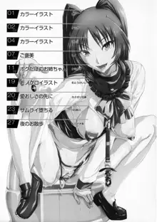 Ane tamA -Kousaka Tamaki Funbook-, 日本語