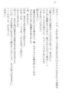 完全無欠のダメ姉ハーレム ねえ、ちゃんと面倒みなさい!, 日本語