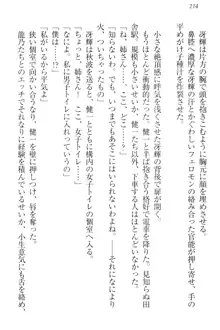 完全無欠のダメ姉ハーレム ねえ、ちゃんと面倒みなさい!, 日本語