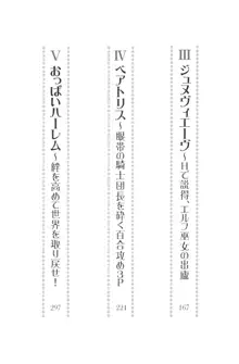 異世界召喚でおっぱい戦記 魔道の王女も女戦士もエルフ巫女も眼帯の騎士も!, 日本語