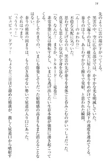 異世界召喚でおっぱい戦記 魔道の王女も女戦士もエルフ巫女も眼帯の騎士も!, 日本語