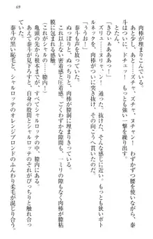 異世界召喚でおっぱい戦記 魔道の王女も女戦士もエルフ巫女も眼帯の騎士も!, 日本語