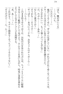 チンデレ! 生意気だった妹が俺の下半身に興味を持ちはじめた件, 日本語