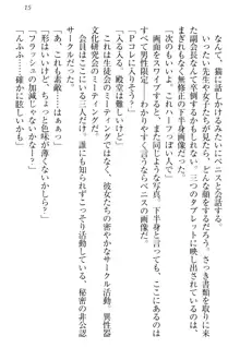 チンデレ! 生意気だった妹が俺の下半身に興味を持ちはじめた件, 日本語