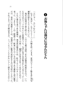 お姉ちゃんだって痴女になれるもん!, 日本語