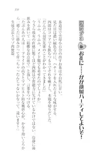 ツンマゾ!! 武闘派生徒会長だってM, 日本語