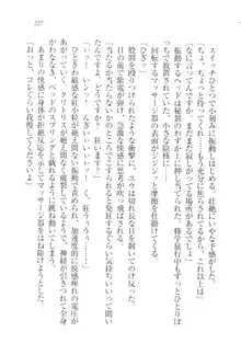 ツンマゾ!! 武闘派生徒会長だってM, 日本語