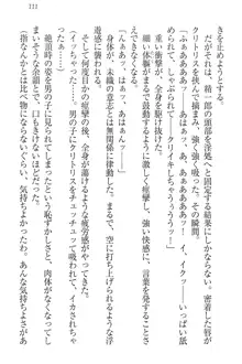 肉食生徒会長サマと草食な俺, 日本語