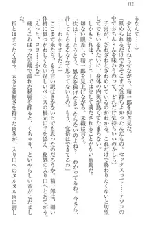 肉食生徒会長サマと草食な俺, 日本語