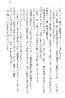 肉食生徒会長サマと草食な俺, 日本語