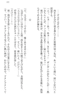 肉食生徒会長サマと草食な俺, 日本語