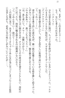 肉食生徒会長サマと草食な俺, 日本語