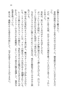 キャリあね。 お姉ちゃんは下着デザイナー, 日本語