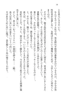 キャリあね。 お姉ちゃんは下着デザイナー, 日本語