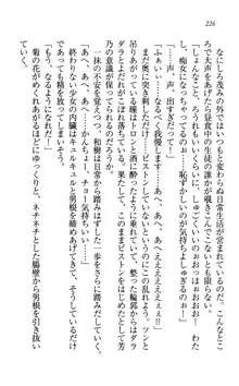 同級生は、のーぱんちゅ♥, 日本語