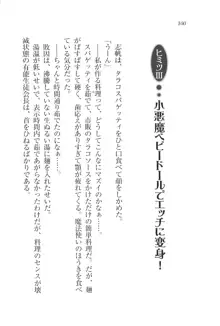 ナイショの生徒会長 放課後はキミの下着モデル♥, 日本語