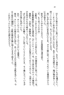 ナイショの生徒会長 放課後はキミの下着モデル♥, 日本語