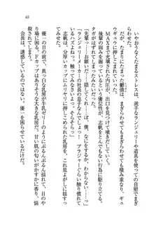 ナイショの生徒会長 放課後はキミの下着モデル♥, 日本語