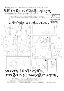 妻色いんび + とらのあなリーフレット, 日本語