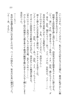 もっとメイドなります!, 日本語