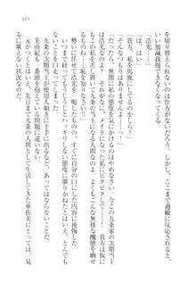 お嬢様☆メイド化計画, 日本語