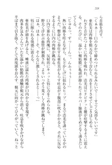 お嬢様☆メイド化計画, 日本語