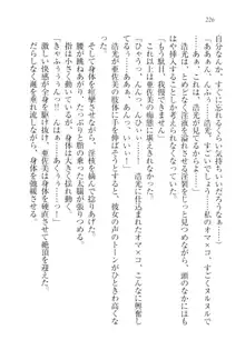 お嬢様☆メイド化計画, 日本語