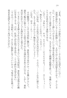 お嬢様☆メイド化計画, 日本語