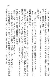 駄メイドのご主人様になってください♥, 日本語