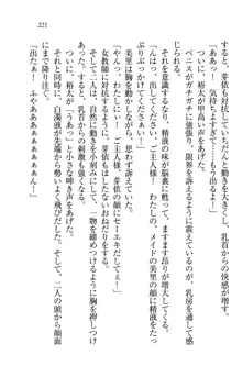 駄メイドのご主人様になってください♥, 日本語