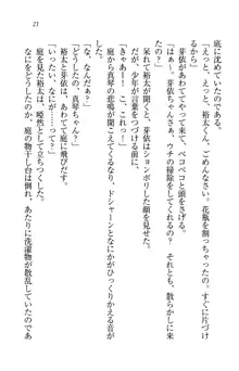 駄メイドのご主人様になってください♥, 日本語