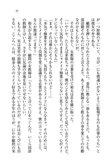 駄メイドのご主人様になってください♥, 日本語