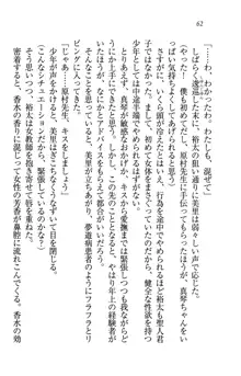 駄メイドのご主人様になってください♥, 日本語