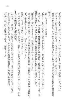 お姉ちゃんは3歳児!?, 日本語