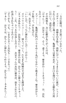 お姉ちゃんは3歳児!?, 日本語